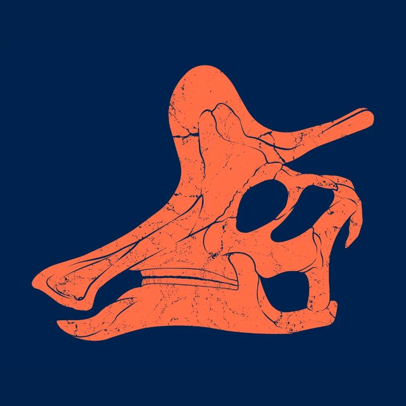 Lambeosaurus Fossilschädel