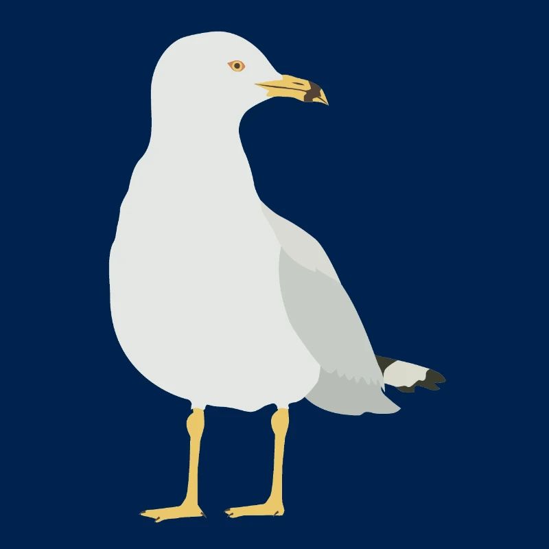 Möwe