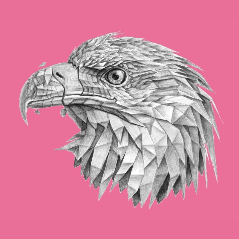 Adler