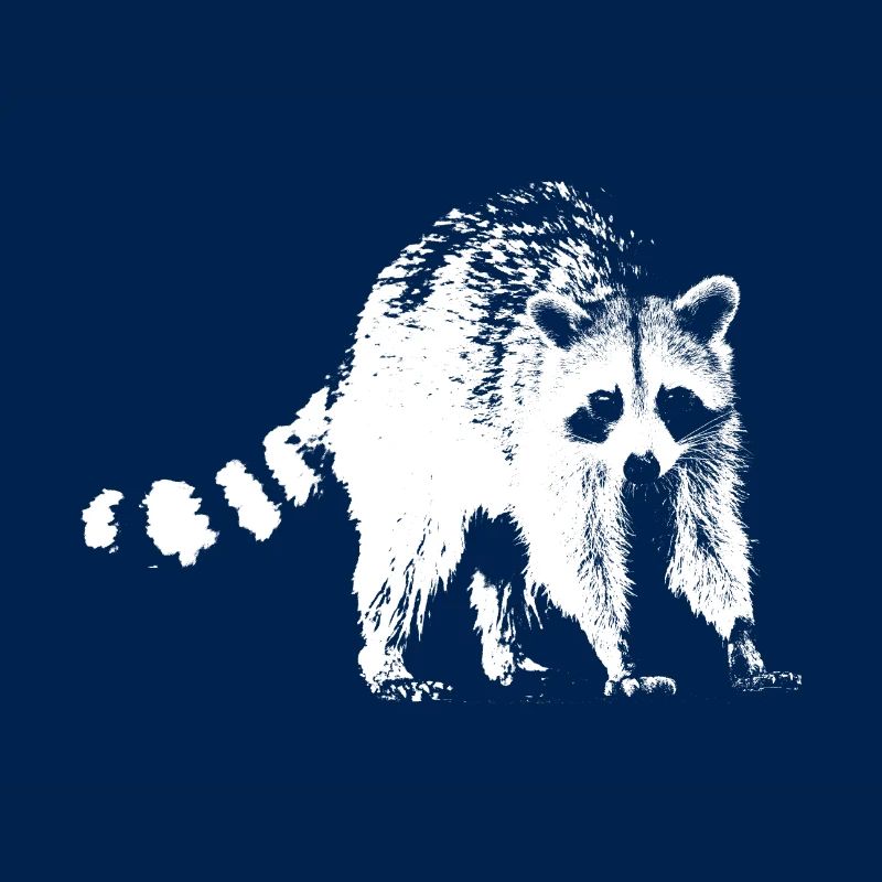 Waschbär Geschenkidee Nacht Dieb