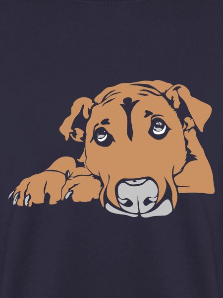 Hund Augen Treuer Hundeblick