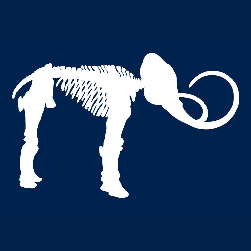 Mammut Eiszeit Skelett