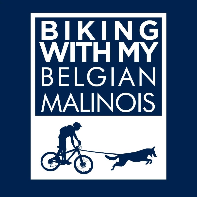 Belgischer Malinois Radfahren
