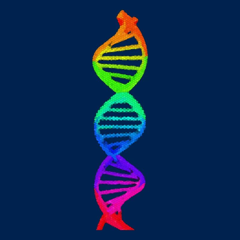 DNA