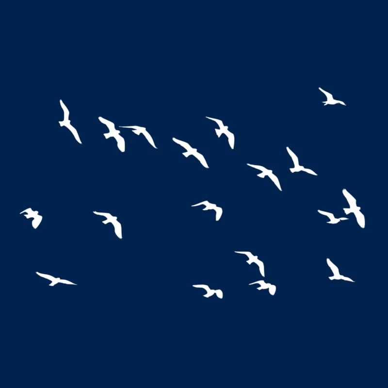 Vogelschwarm