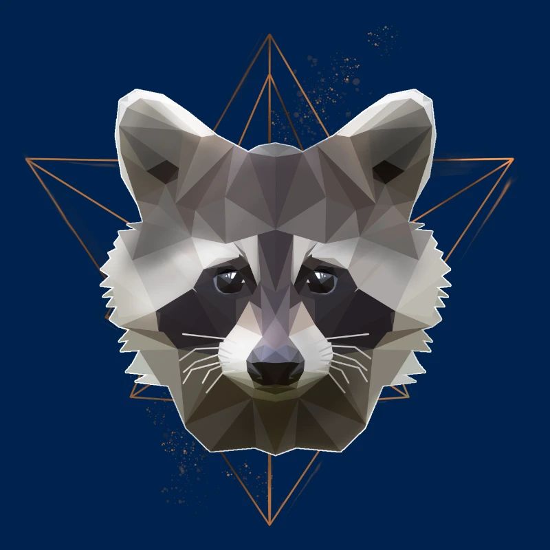 Low Poly Art Raton Racoon Cool Polygon