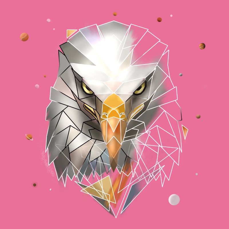 Bald Eagle | Low Poly Art | Cool polygon