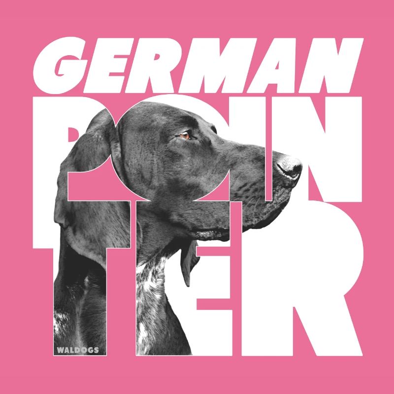 German Pointer I