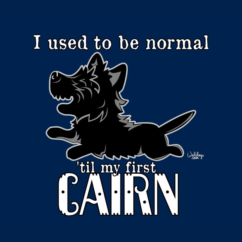 cairn7
