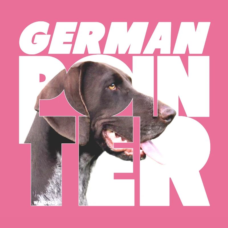 German Pointer VI
