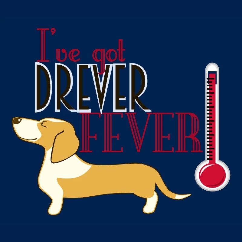 Drever Fieber leicht