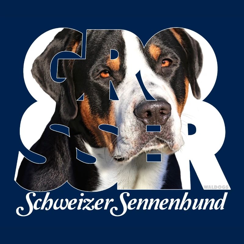 Grosser Schweizer Sennenhund