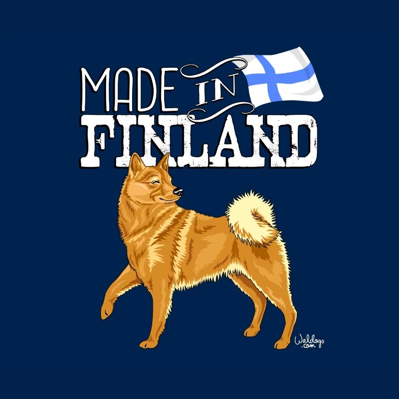 Finnischer Spitz earin madein