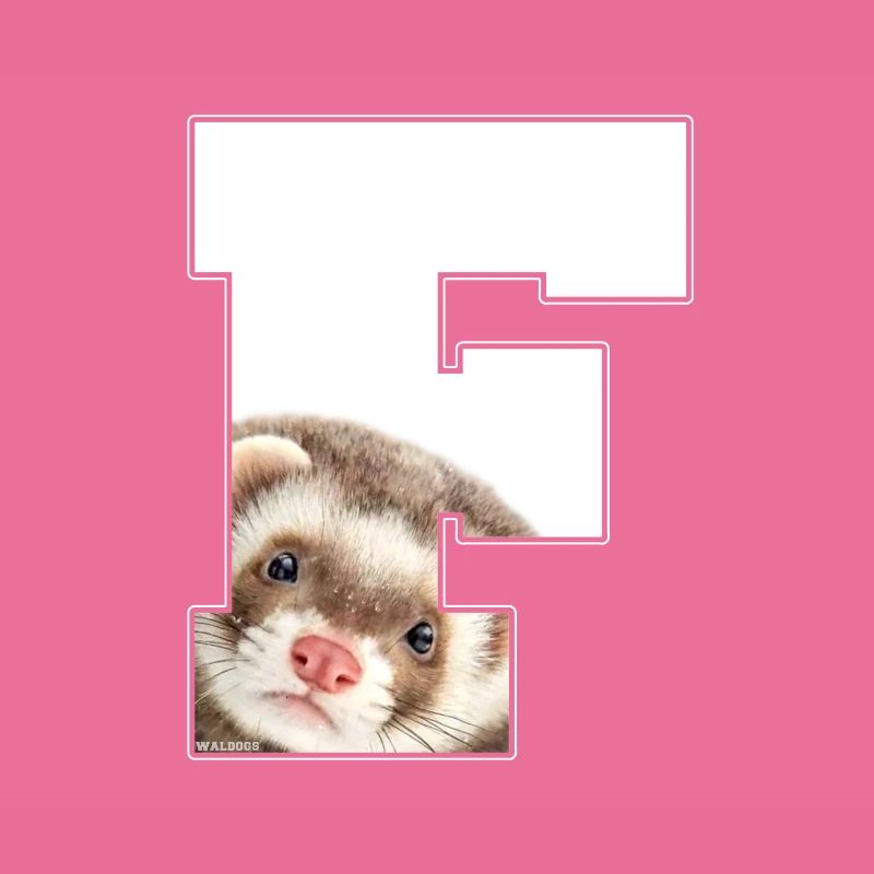 F Frettchen