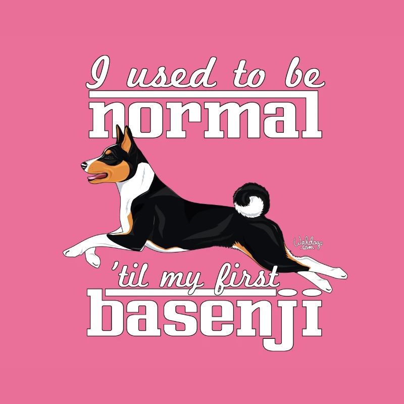 basenjinormal