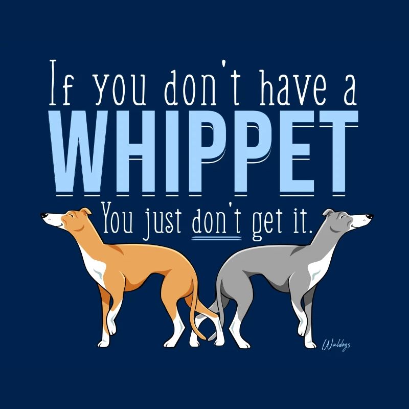 Whippet Get it III