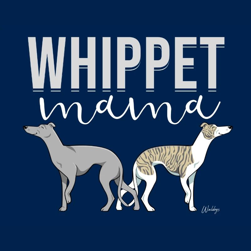 Whippet Mama III