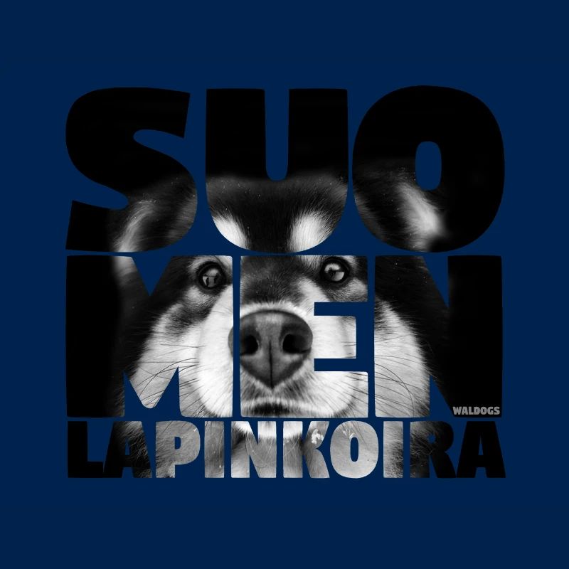 NASSU Lappari 013