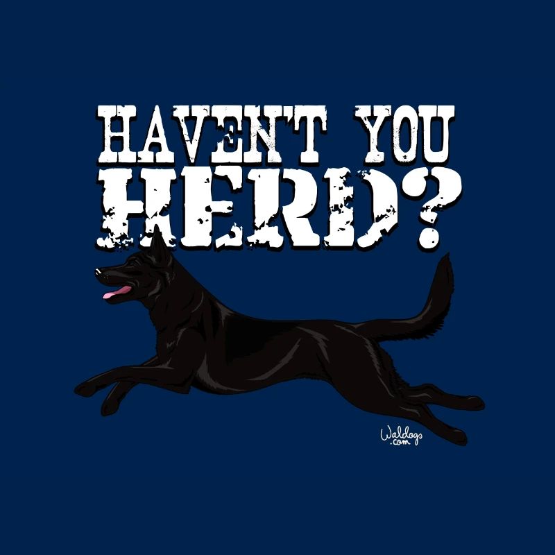 kelpieherd2