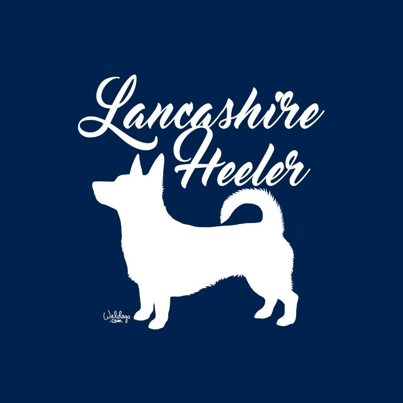 heelerheeler