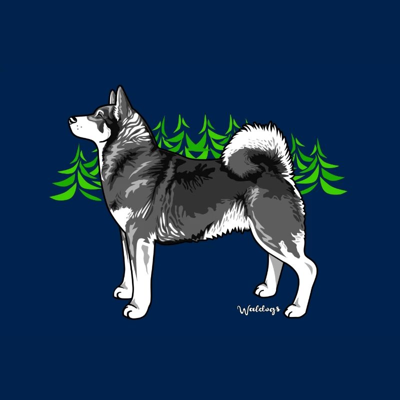 Jämtländer Spitz Metta