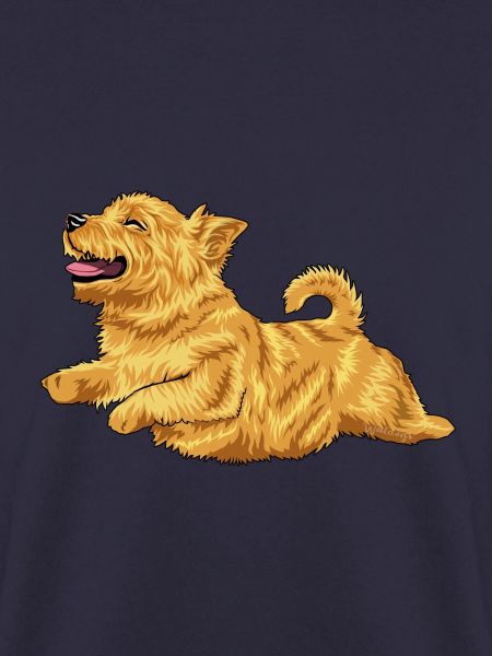 Norwich Terrier 2