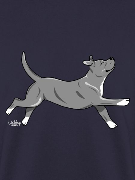 staffi2