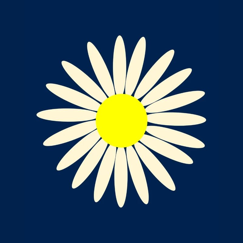 daisy