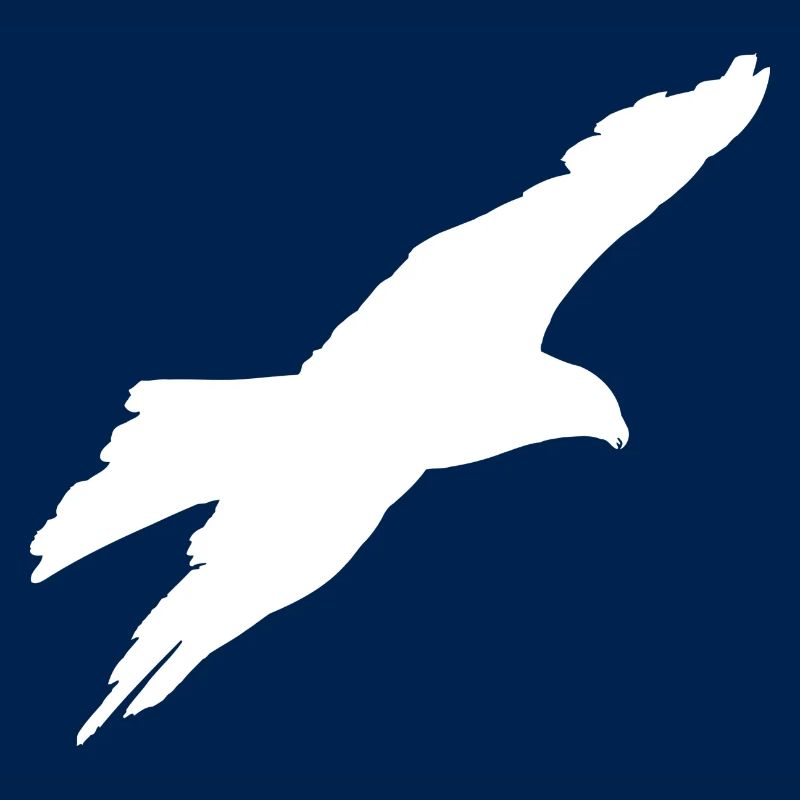 gliding eagle