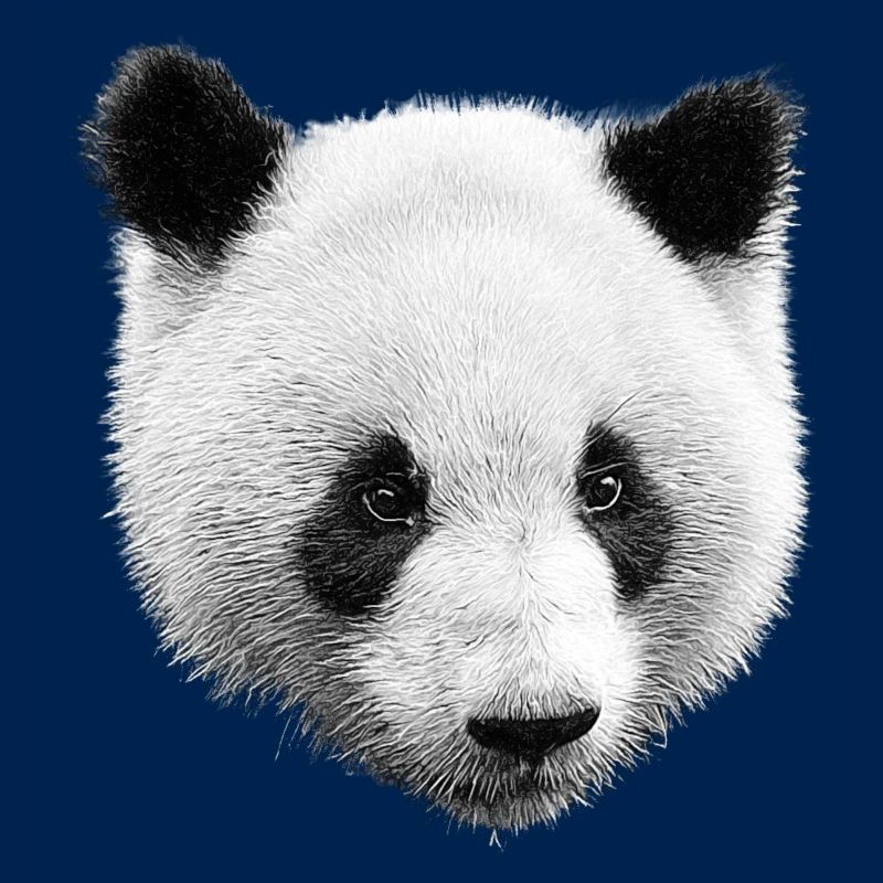 Panda Noir Blanc