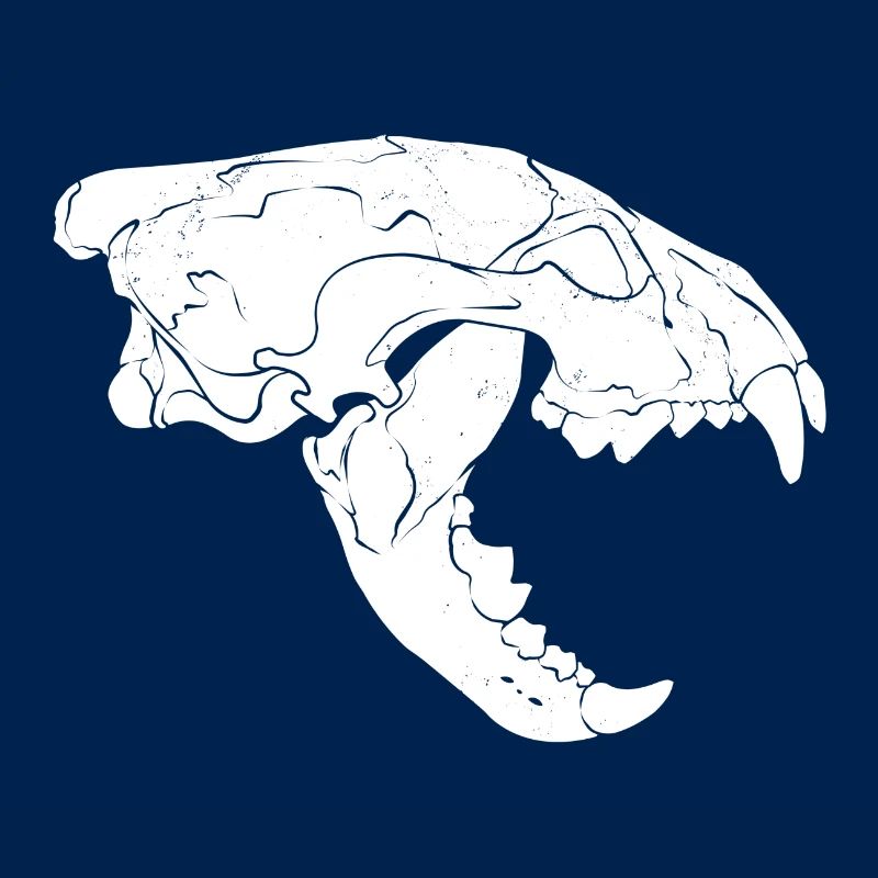 Wolverine Skull