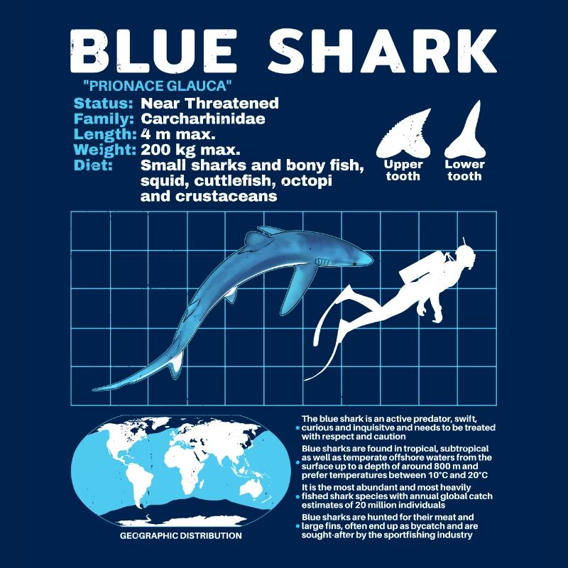 Blue Shark Datasheet Fact Sheet