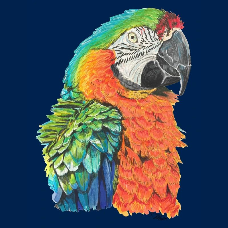 parrot