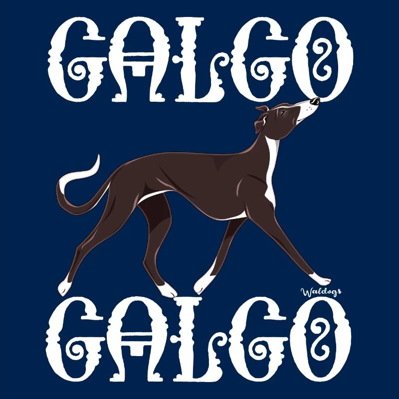 Galgo Galgo 4