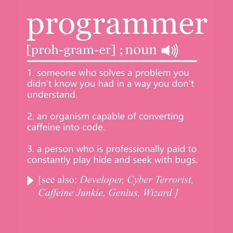 Programmer Definition