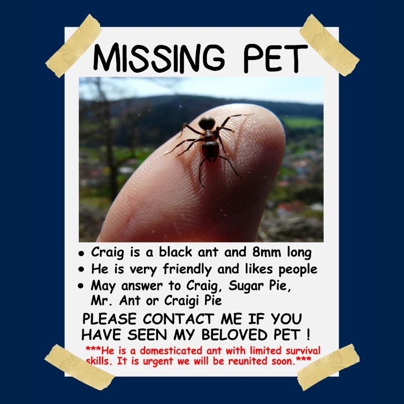 Missing Pet Ant