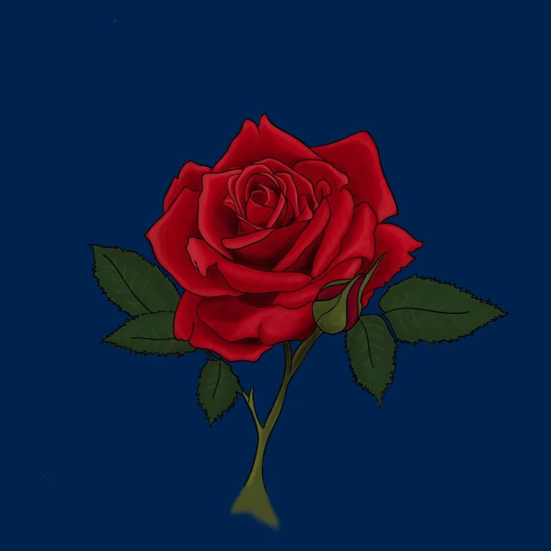 Rose