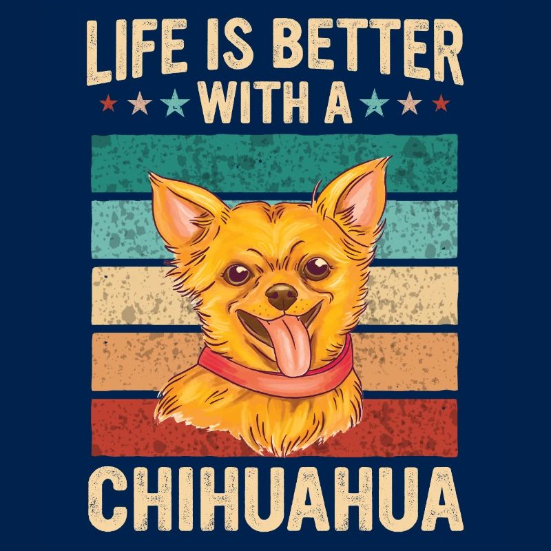 Chihuahua Hund