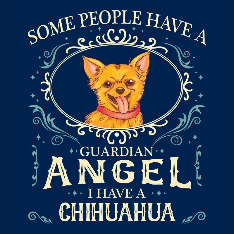Chihuahua Hund