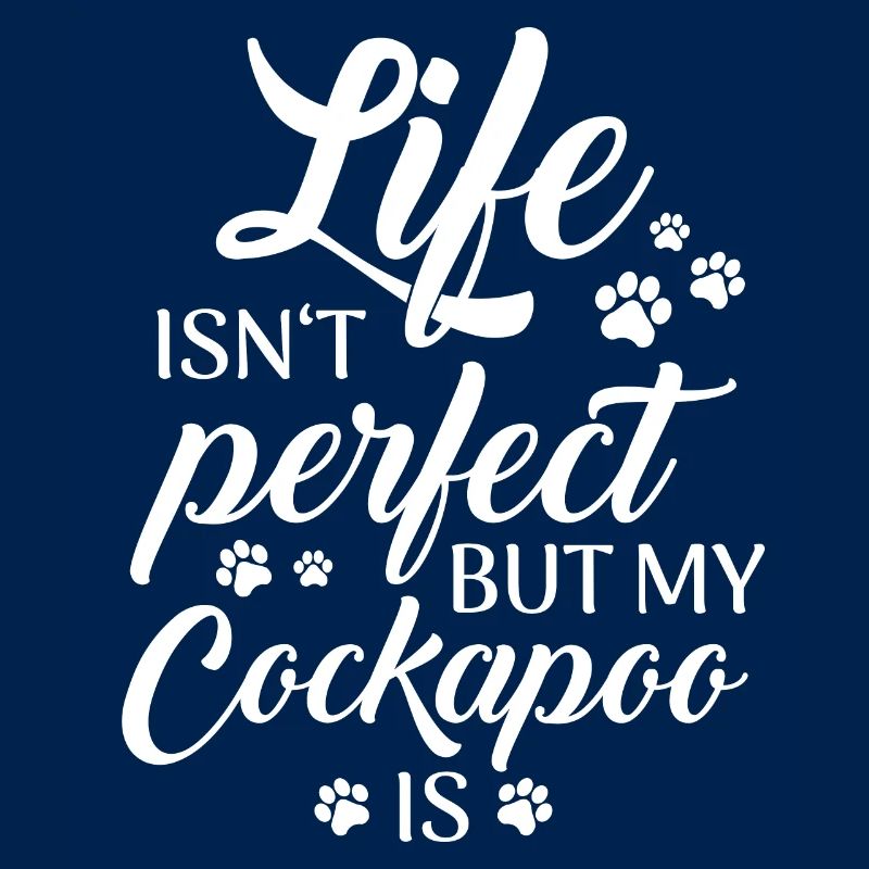 Cockapoo Hund