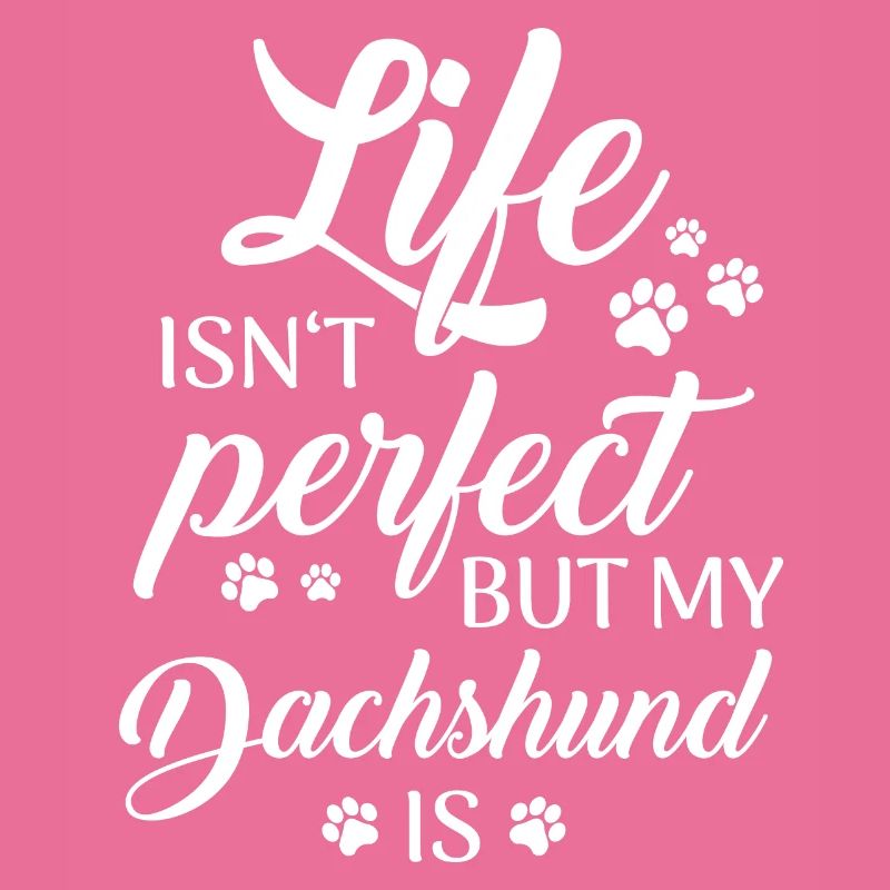 Dackel Hund