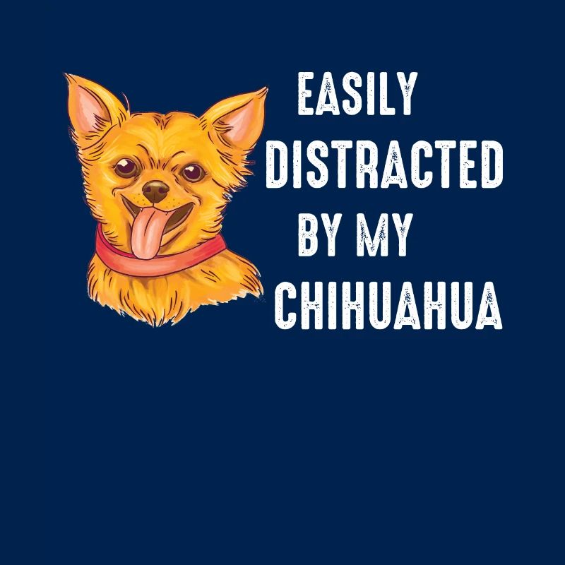 Chihuahua Hund