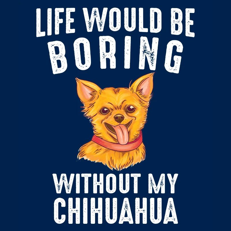 Chihuahua Hund