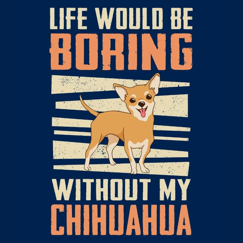 Chihuahua Hund