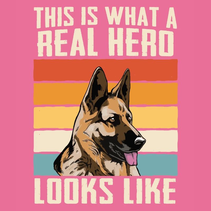 Malinois Hund