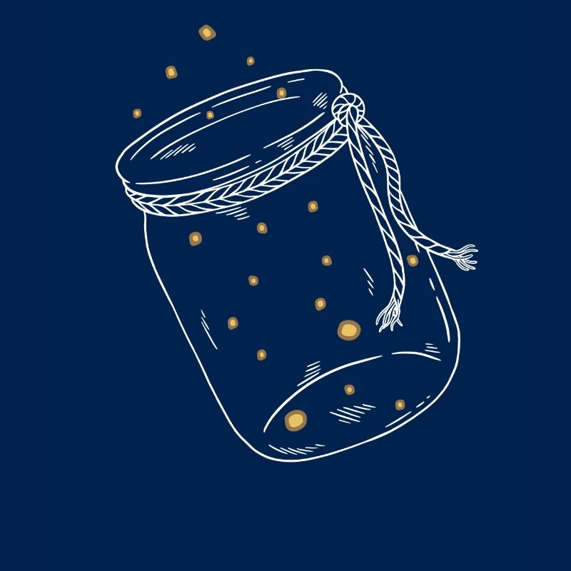 Firefly firefly insect