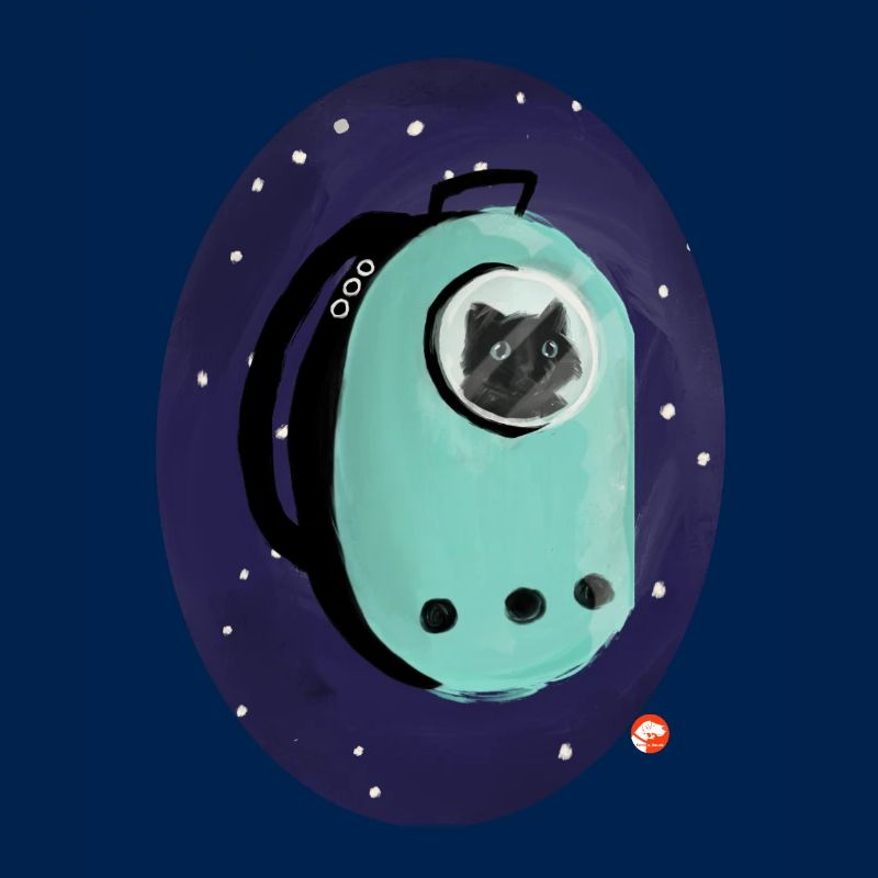 Space kitten