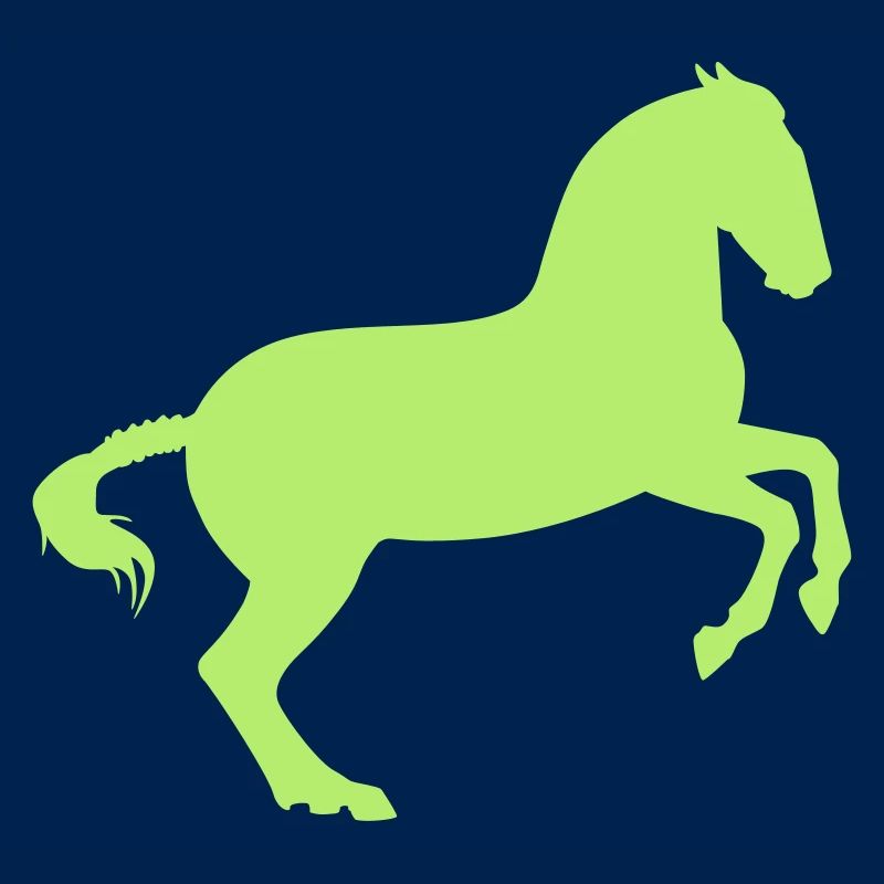 Working equitation Barockpferd