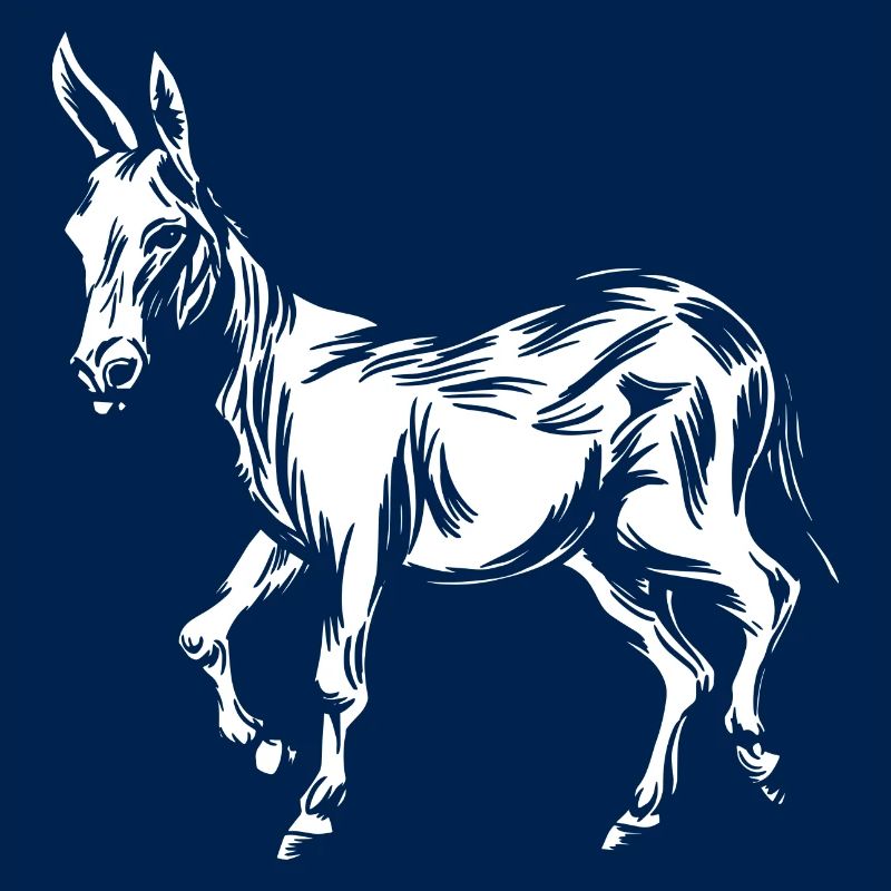 Mule d’âne