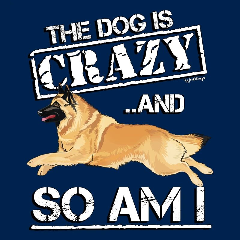 Belgischer Schäferhund Crazy2